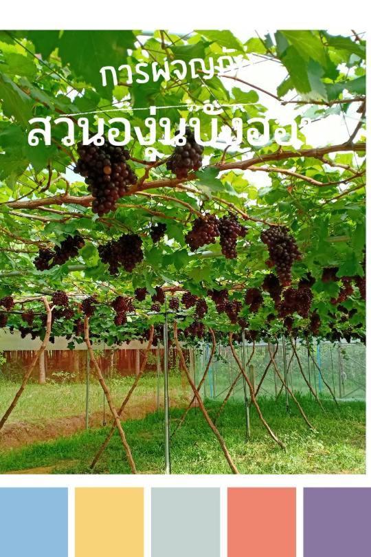 Bang Hon Homestay Ko Yao Noi Dış mekan fotoğraf